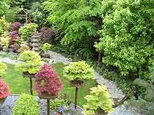 Aerial photo of bonsai plinths