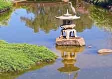 Koi pond, with Japanese Granite lantern