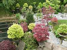 Photo of bonsai plinths and garden