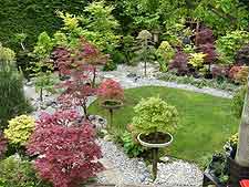 View of bonsai display