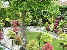 Garden view, showing bonsai plinths