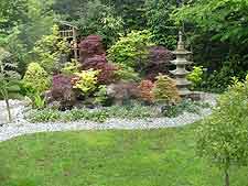 Collection of Japanese maples, with pagoda