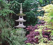 Displaying Bonsai in your Garden