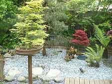 View of bonsai plinth