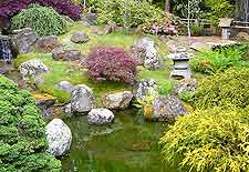 Pond photo, showing Japanese-style landscaping