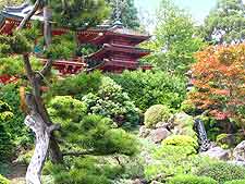 Further view of Japanese gardens in San Francisco