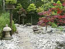 View of stepping stones and bonsai