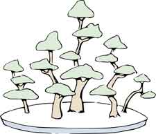 Group style bonsai