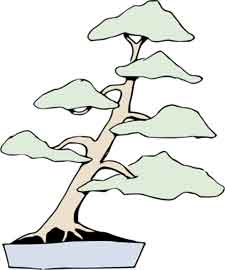 Slanting style bonsai